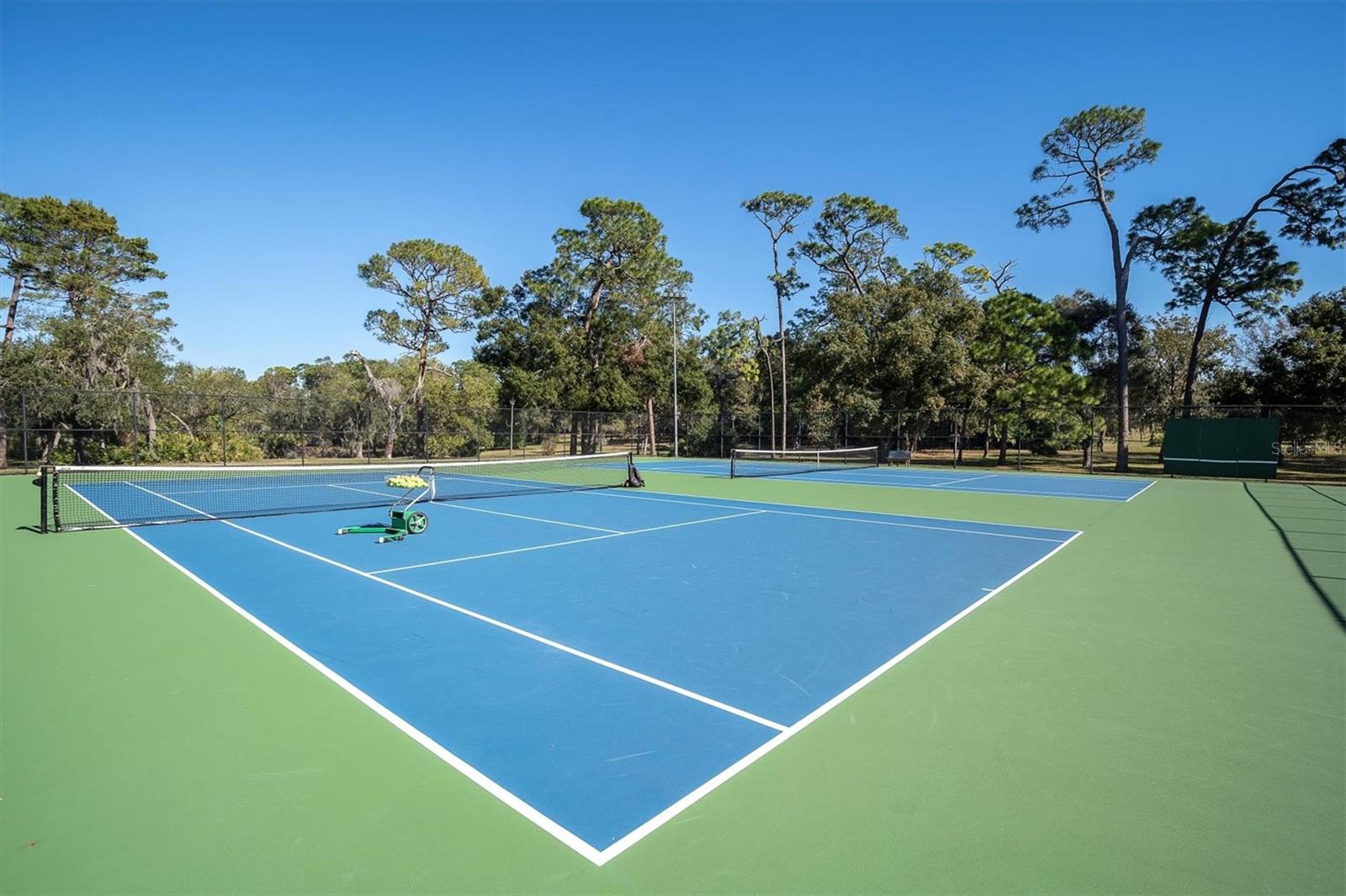 690 WILD OAK LN, PALM HARBOR, FL, 34683