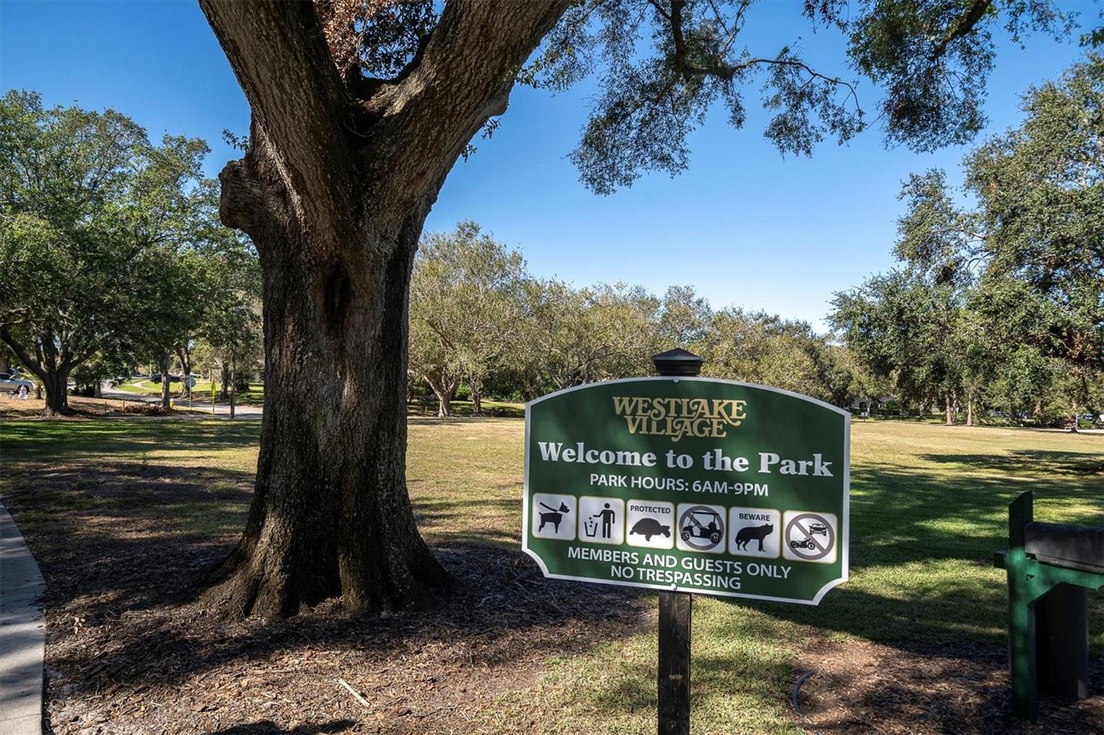 690 WILD OAK LN, PALM HARBOR, FL, 34683
