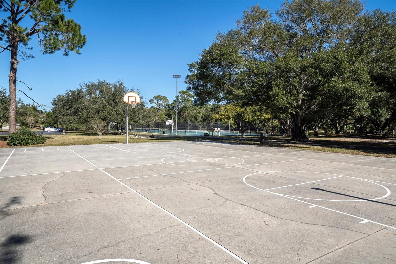 690 WILD OAK LN, PALM HARBOR, FL, 34683
