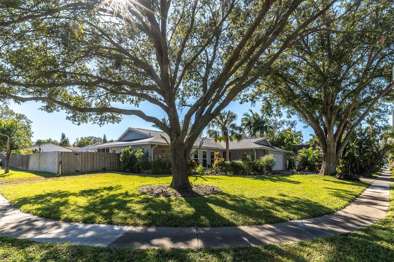690 WILD OAK LN, PALM HARBOR, FL, 34683