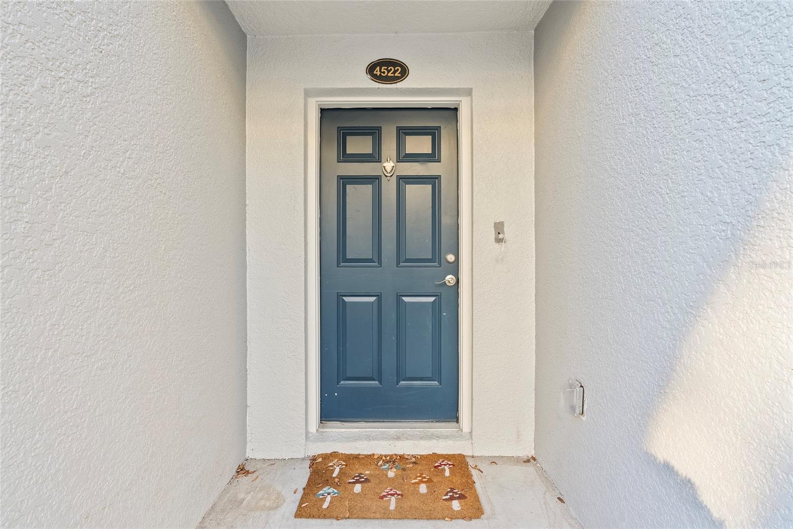 4522 BAY SPRING CT, TAMPA, FL, 33611