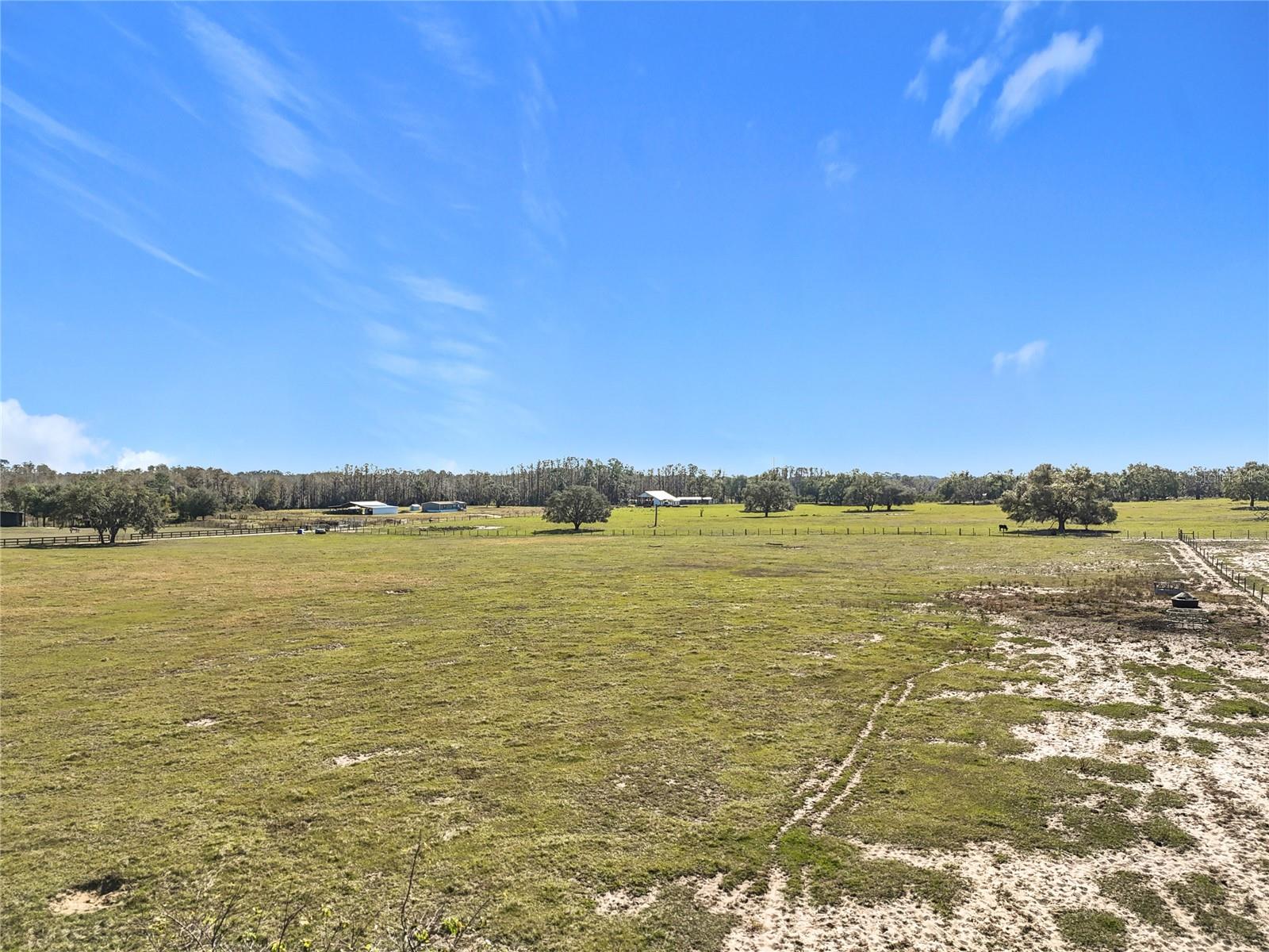 COCKATOO LN, GROVELAND, FL, 34736