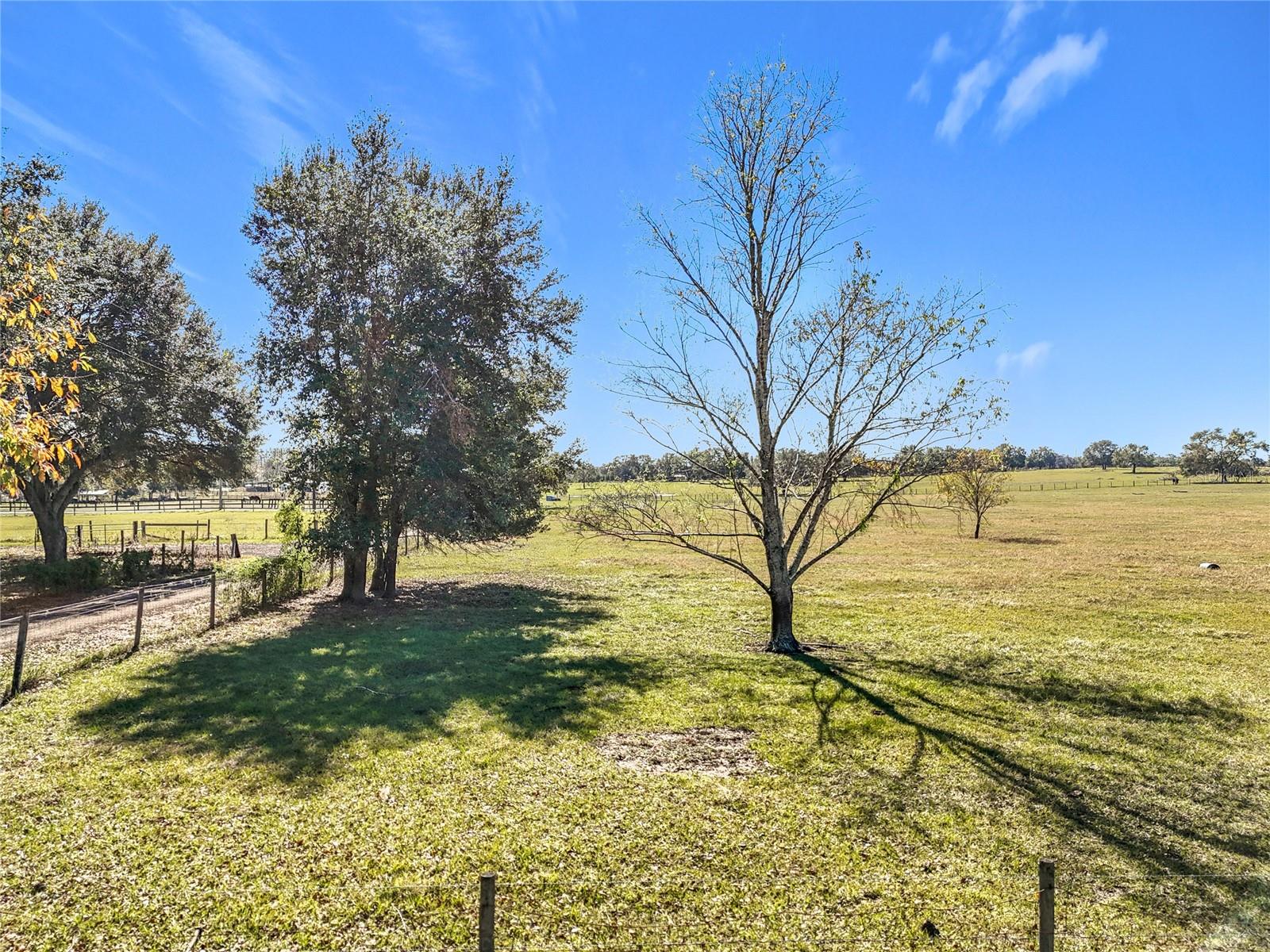 COCKATOO LN, GROVELAND, FL, 34736