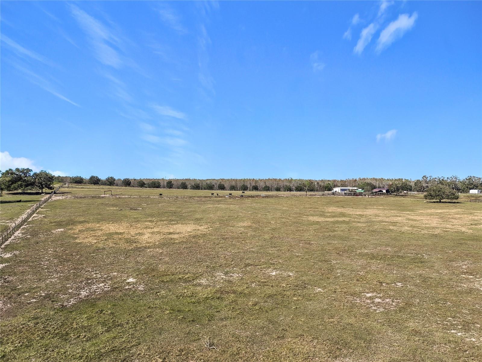 COCKATOO LN, GROVELAND, FL, 34736