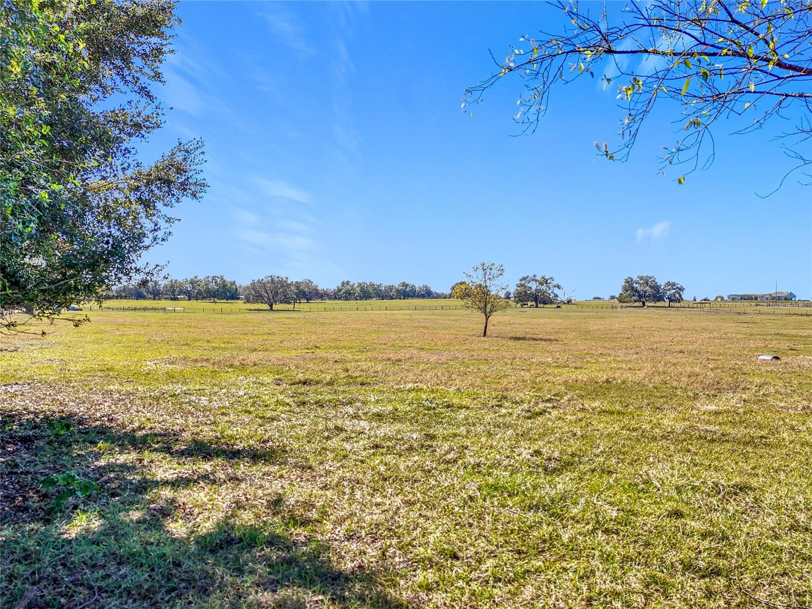 COCKATOO LN, GROVELAND, FL, 34736