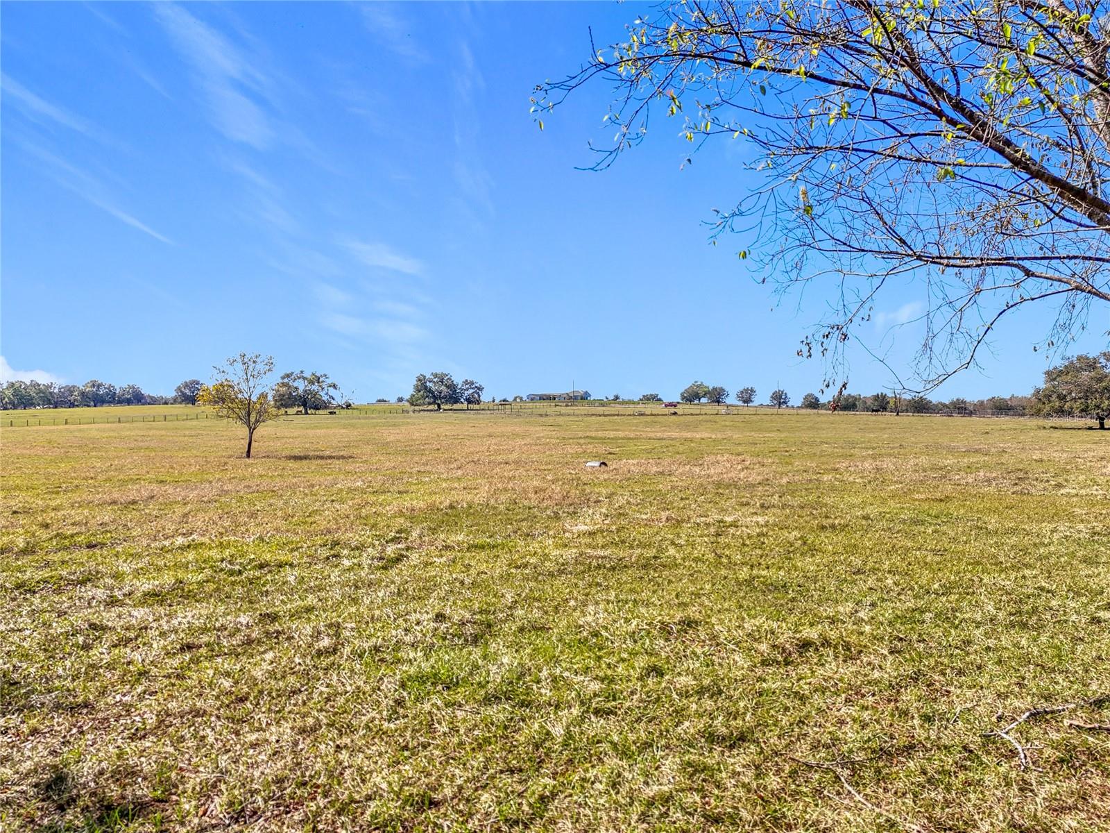 COCKATOO LN, GROVELAND, FL, 34736