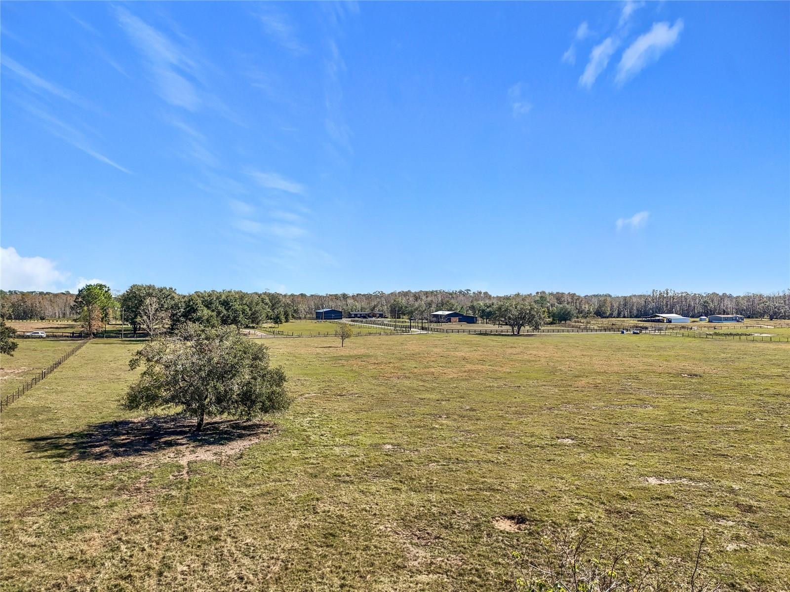 COCKATOO LN, GROVELAND, FL, 34736