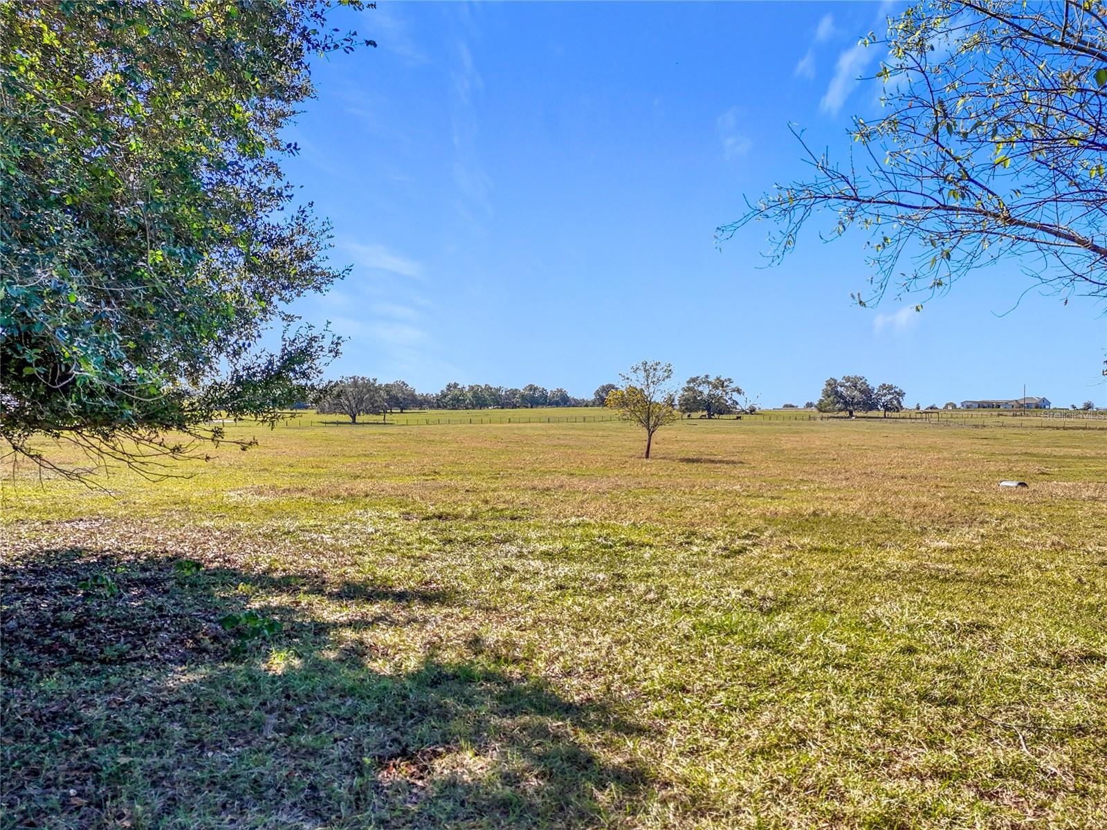 COCKATOO LN, GROVELAND, FL, 34736