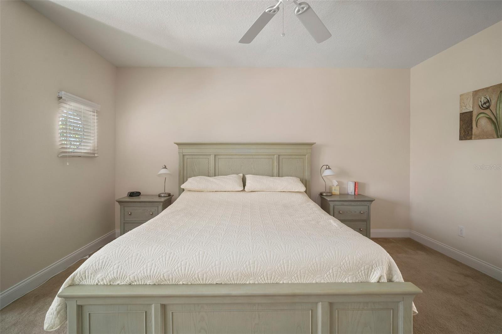 322 IBISVIEW LN, APOLLO BEACH, FL, 33572