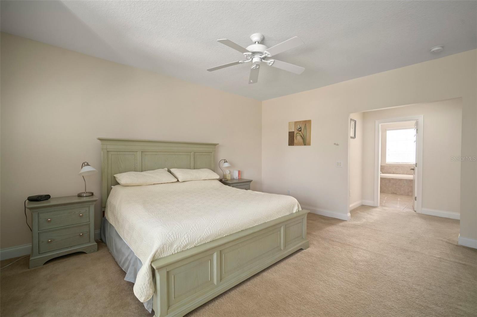 322 IBISVIEW LN, APOLLO BEACH, FL, 33572