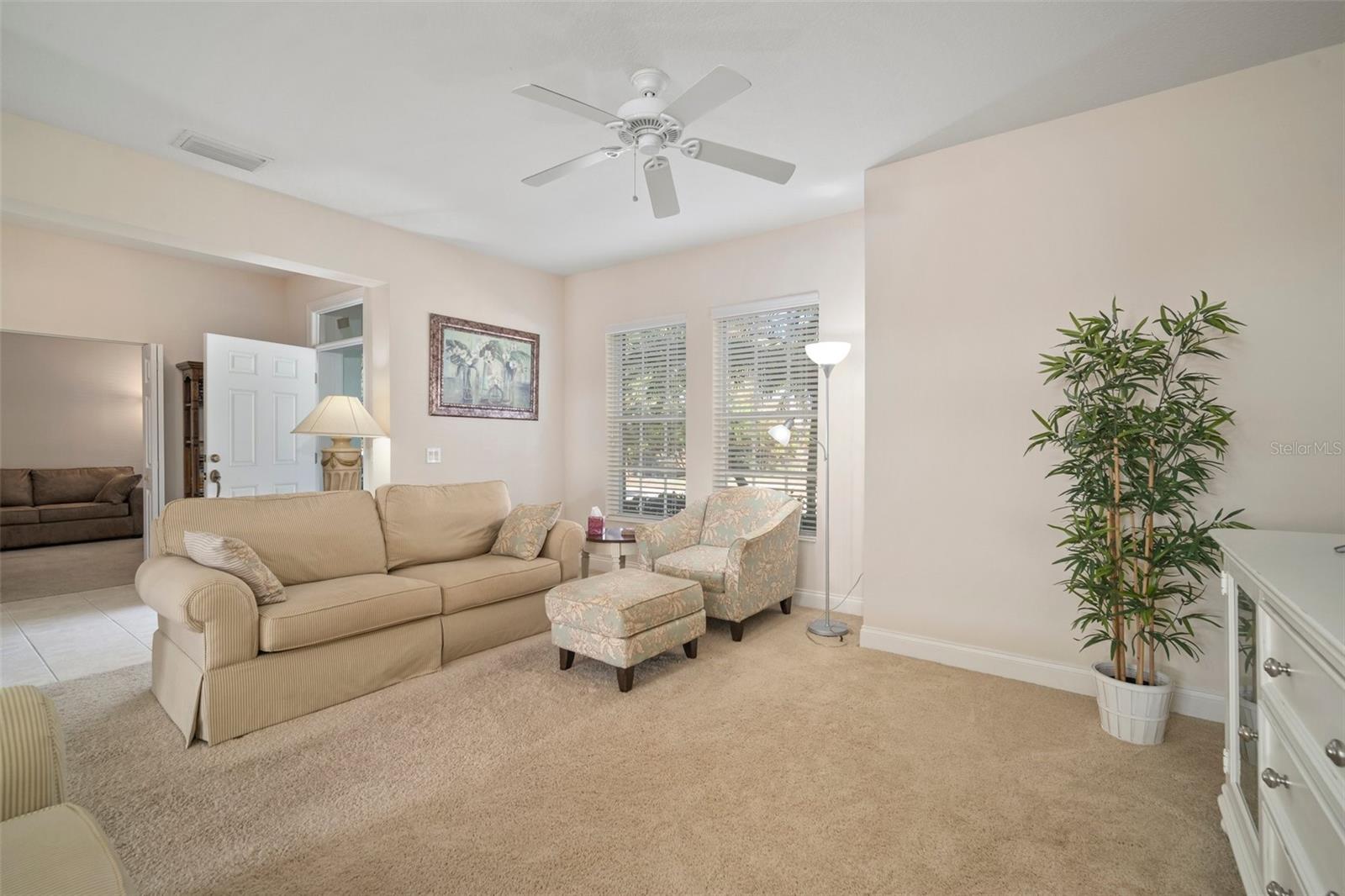 322 IBISVIEW LN, APOLLO BEACH, FL, 33572