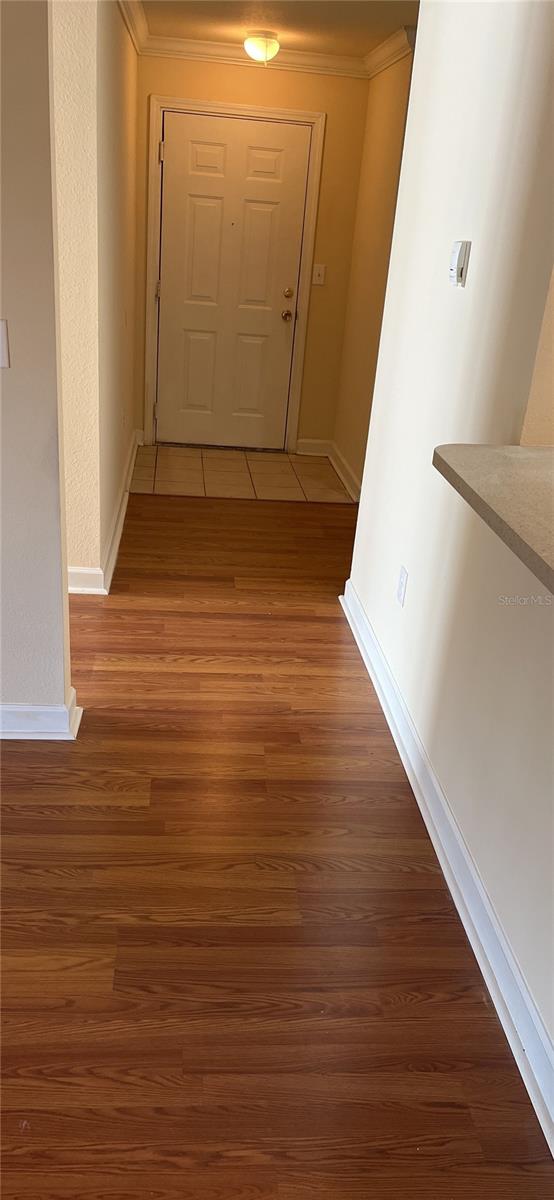 18167 BRIDLE CLUB DR #18167, TAMPA, FL, 33647