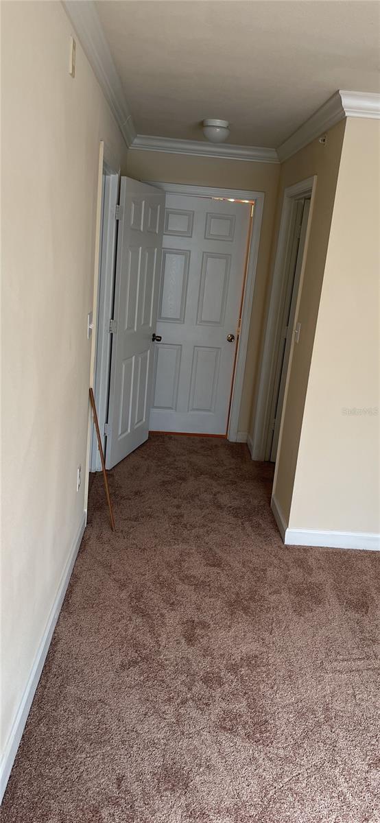 18167 BRIDLE CLUB DR #18167, TAMPA, FL, 33647