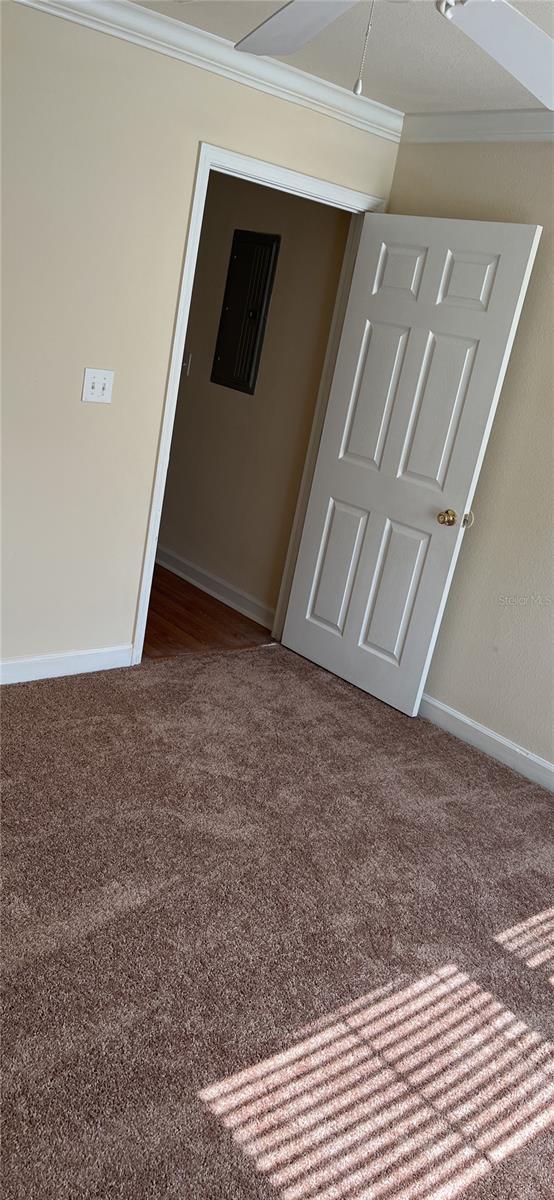 18167 BRIDLE CLUB DR #18167, TAMPA, FL, 33647