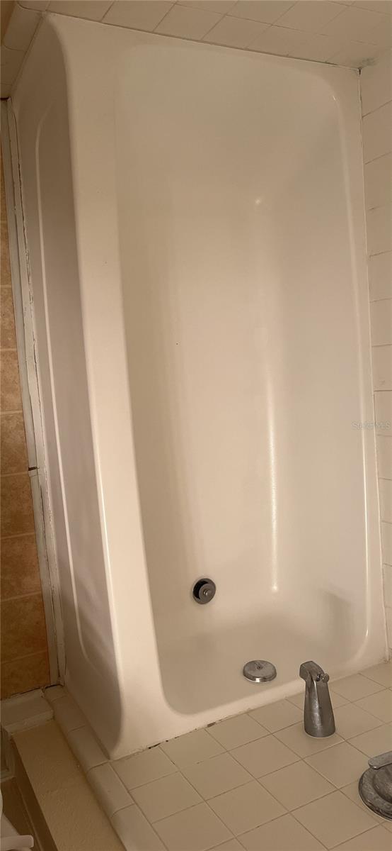 18167 BRIDLE CLUB DR #18167, TAMPA, FL, 33647