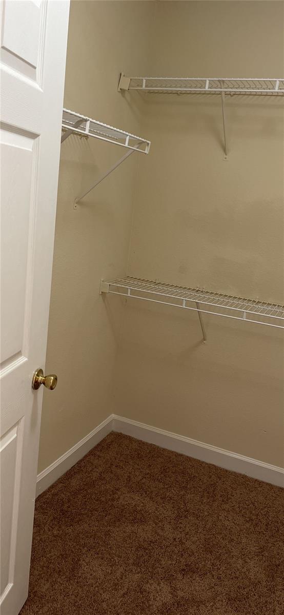 18167 BRIDLE CLUB DR #18167, TAMPA, FL, 33647