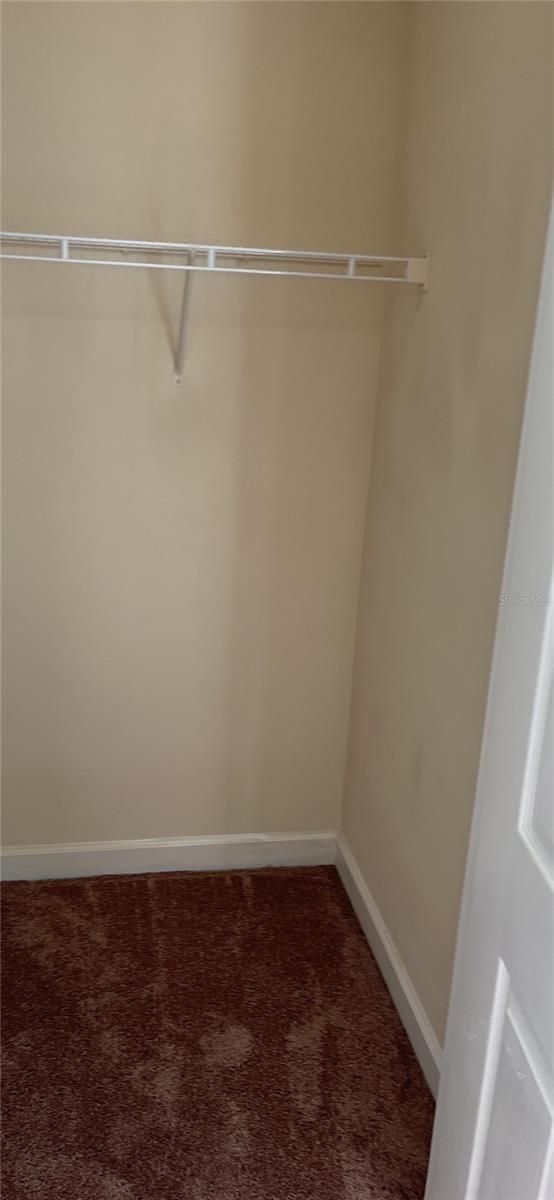 18167 BRIDLE CLUB DR #18167, TAMPA, FL, 33647