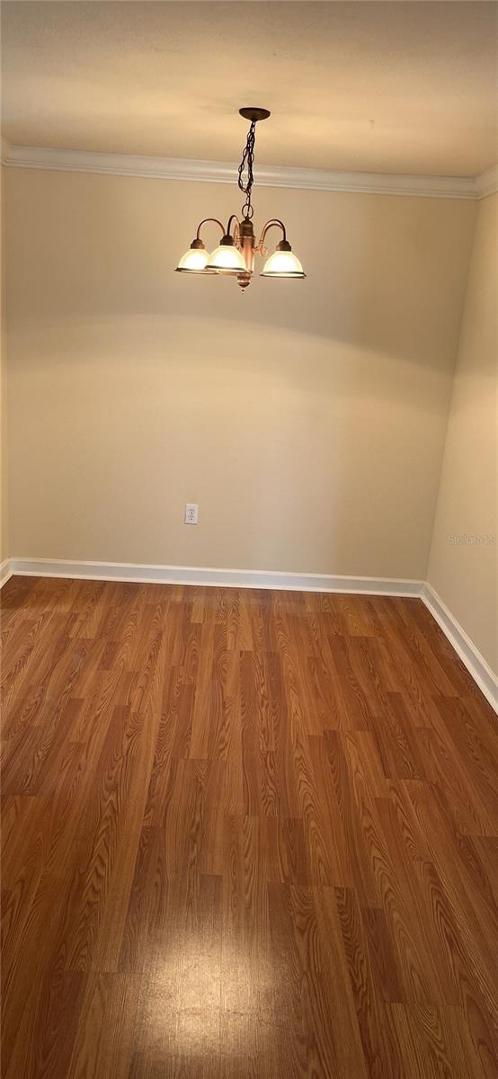 18167 BRIDLE CLUB DR #18167, TAMPA, FL, 33647