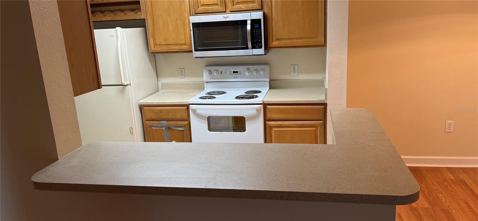 18167 BRIDLE CLUB DR #18167, TAMPA, FL, 33647