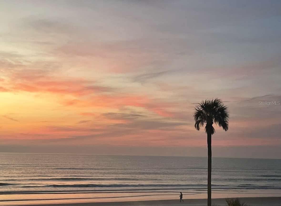 313 S ATLANTIC AVE #2010, DAYTONA BEACH, FL, 32118