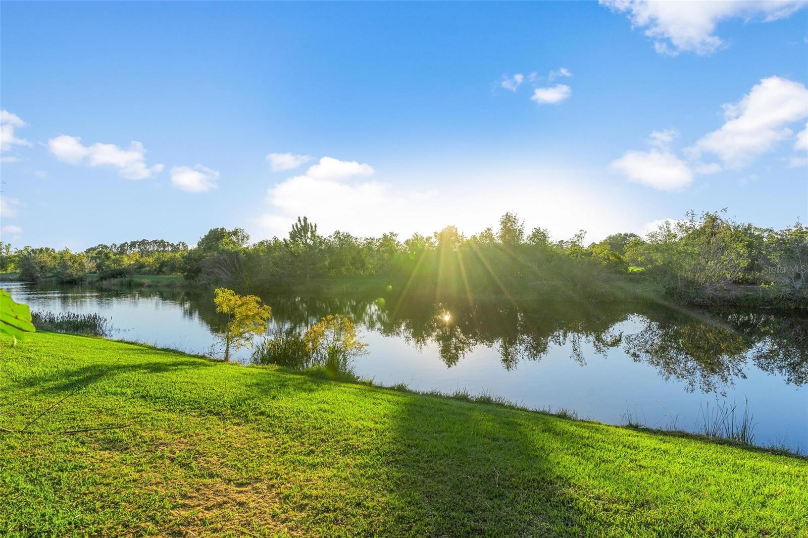 1725 STRATHMORE CIR, MOUNT DORA, FL, 32757