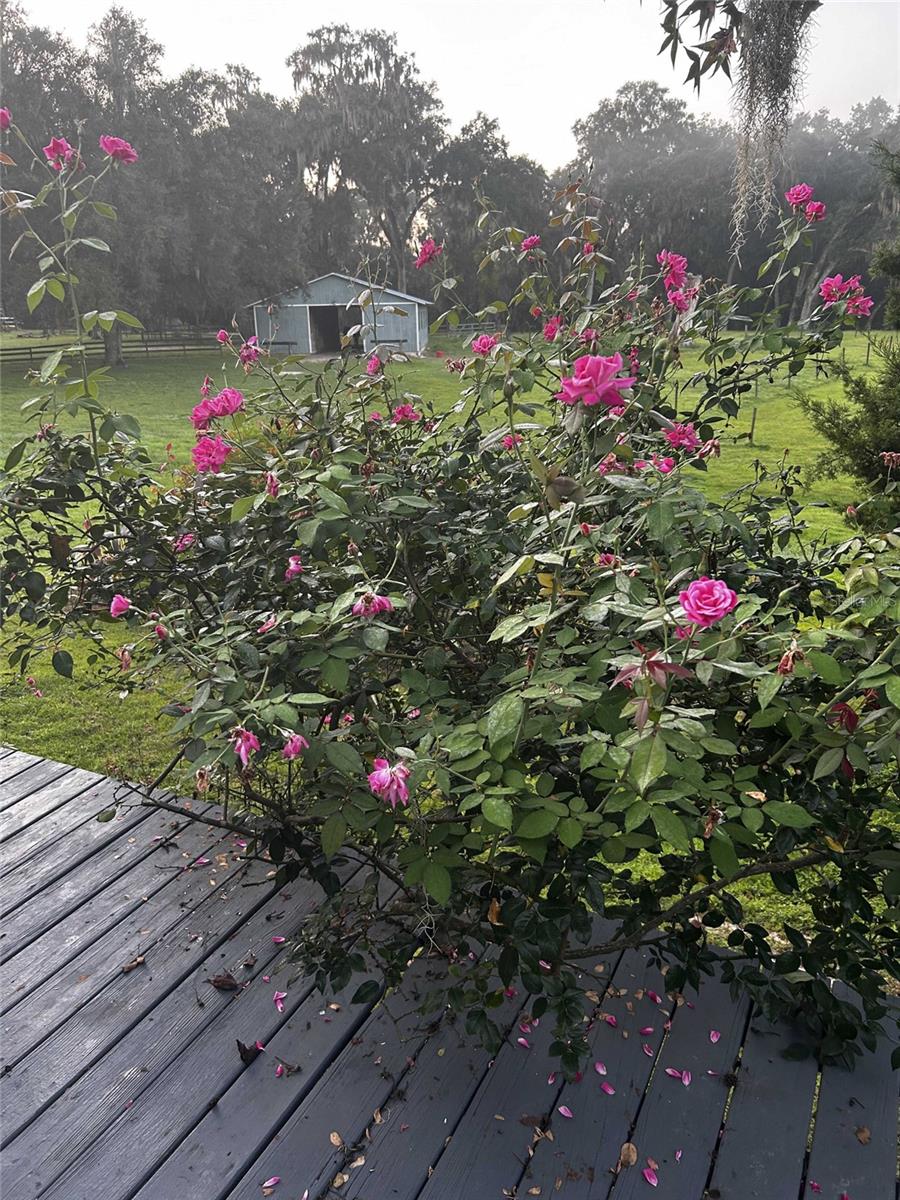 27427 HIAWATHA BLVD, BROOKSVILLE, FL, 34601