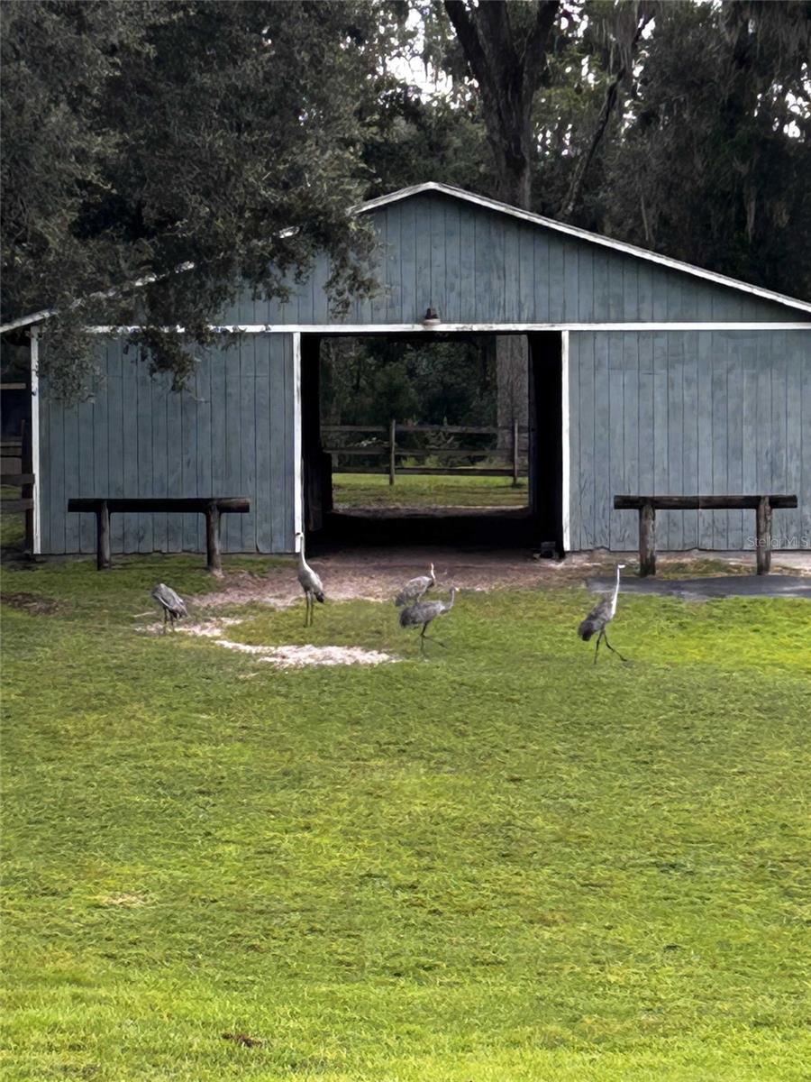 27427 HIAWATHA BLVD, BROOKSVILLE, FL, 34601
