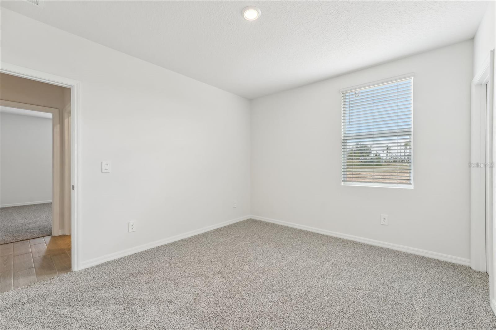 31698 WILD GRAPE LN, BROOKSVILLE, FL, 34602