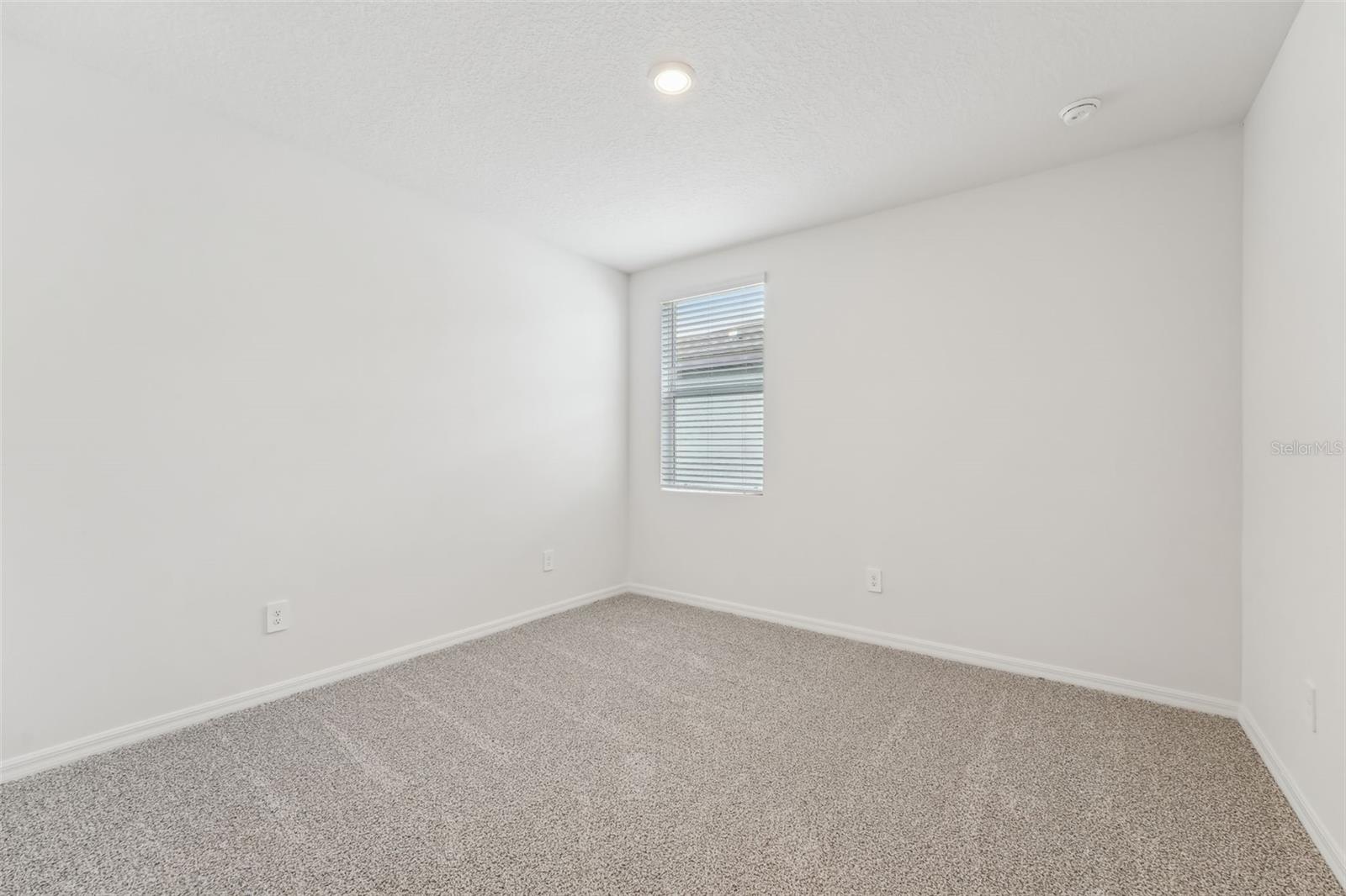 31698 WILD GRAPE LN, BROOKSVILLE, FL, 34602