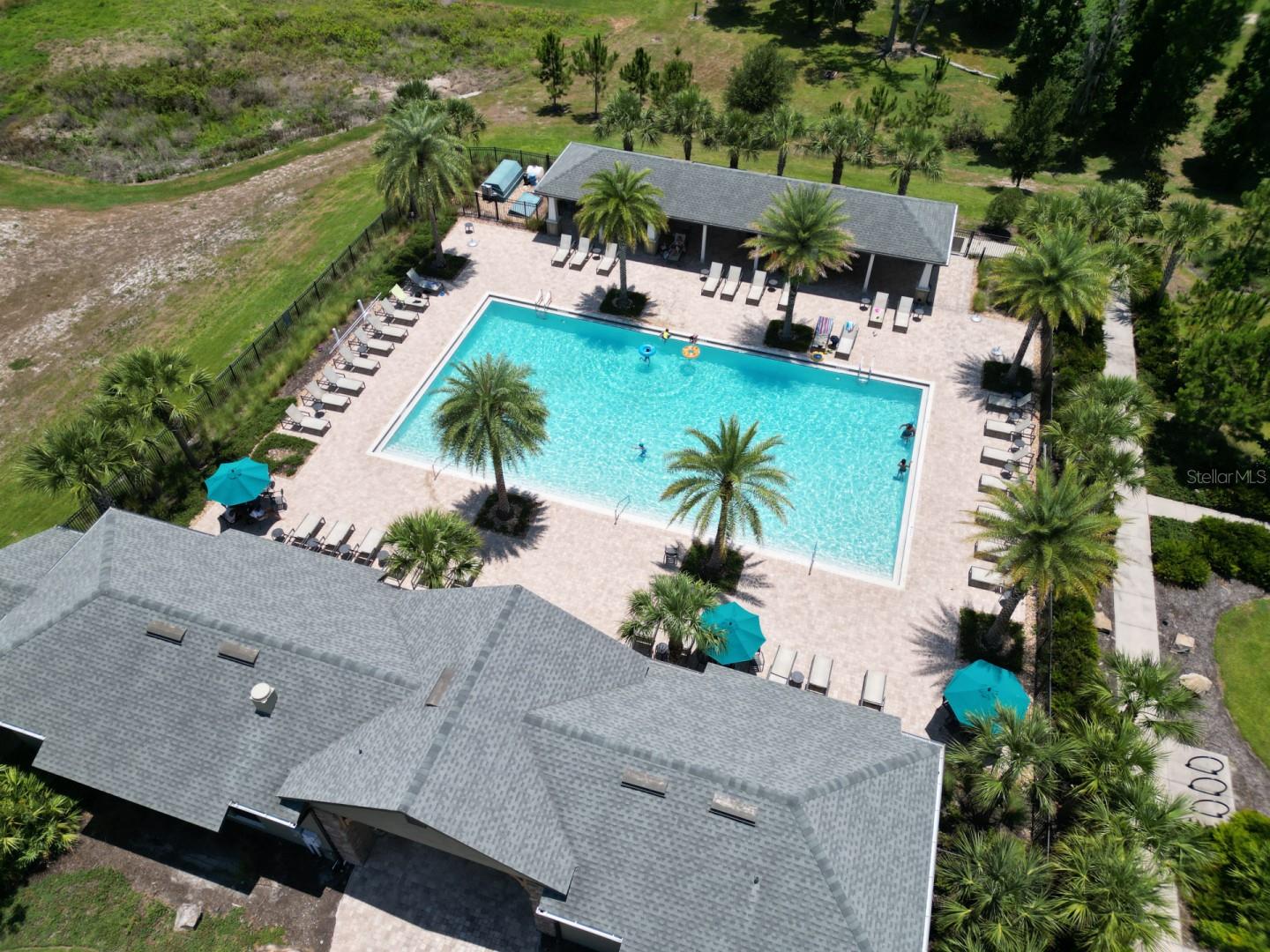 2905 BLACK BIRCH DR, OCOEE, FL, 34761