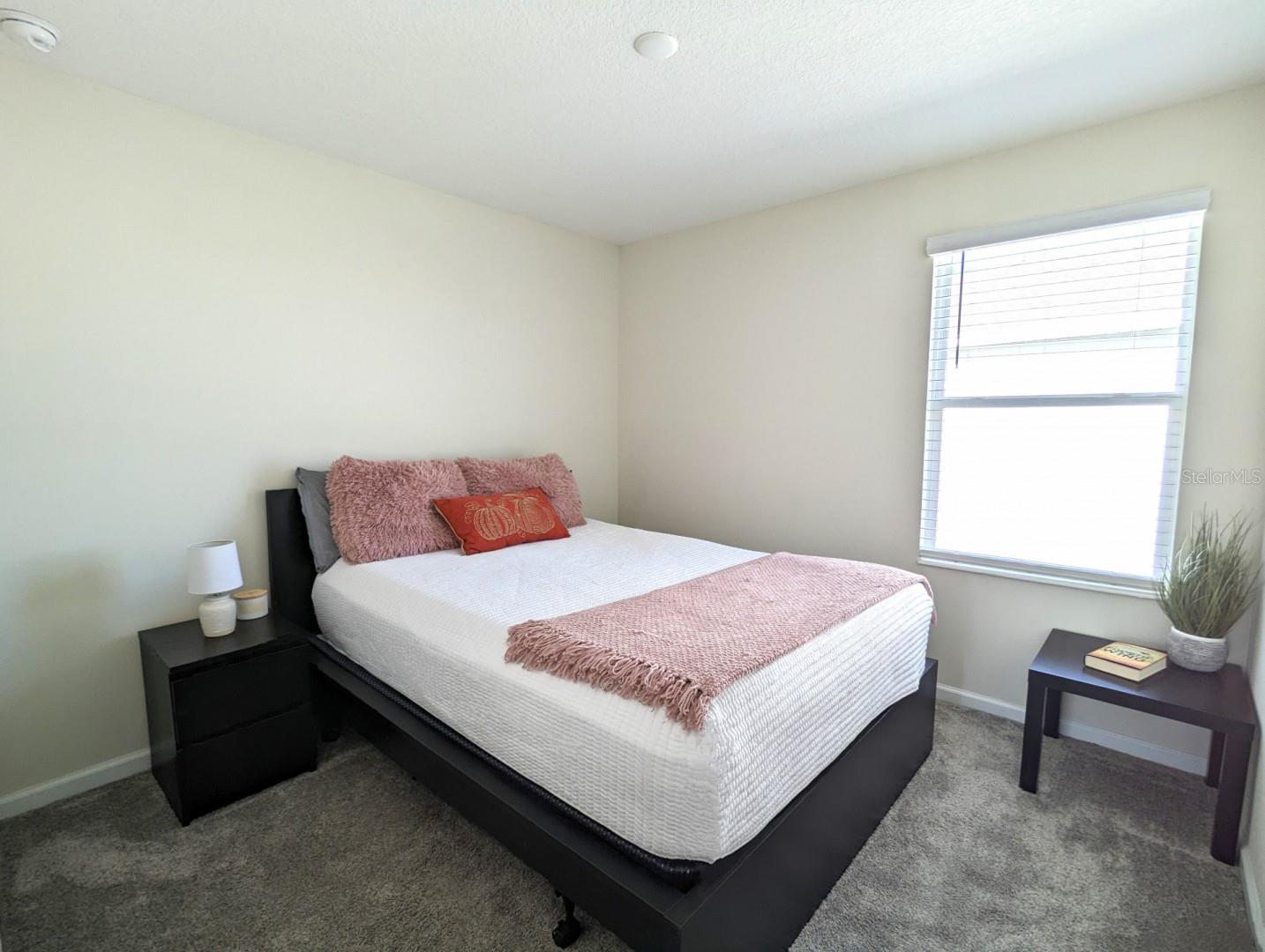 2905 BLACK BIRCH DR, OCOEE, FL, 34761