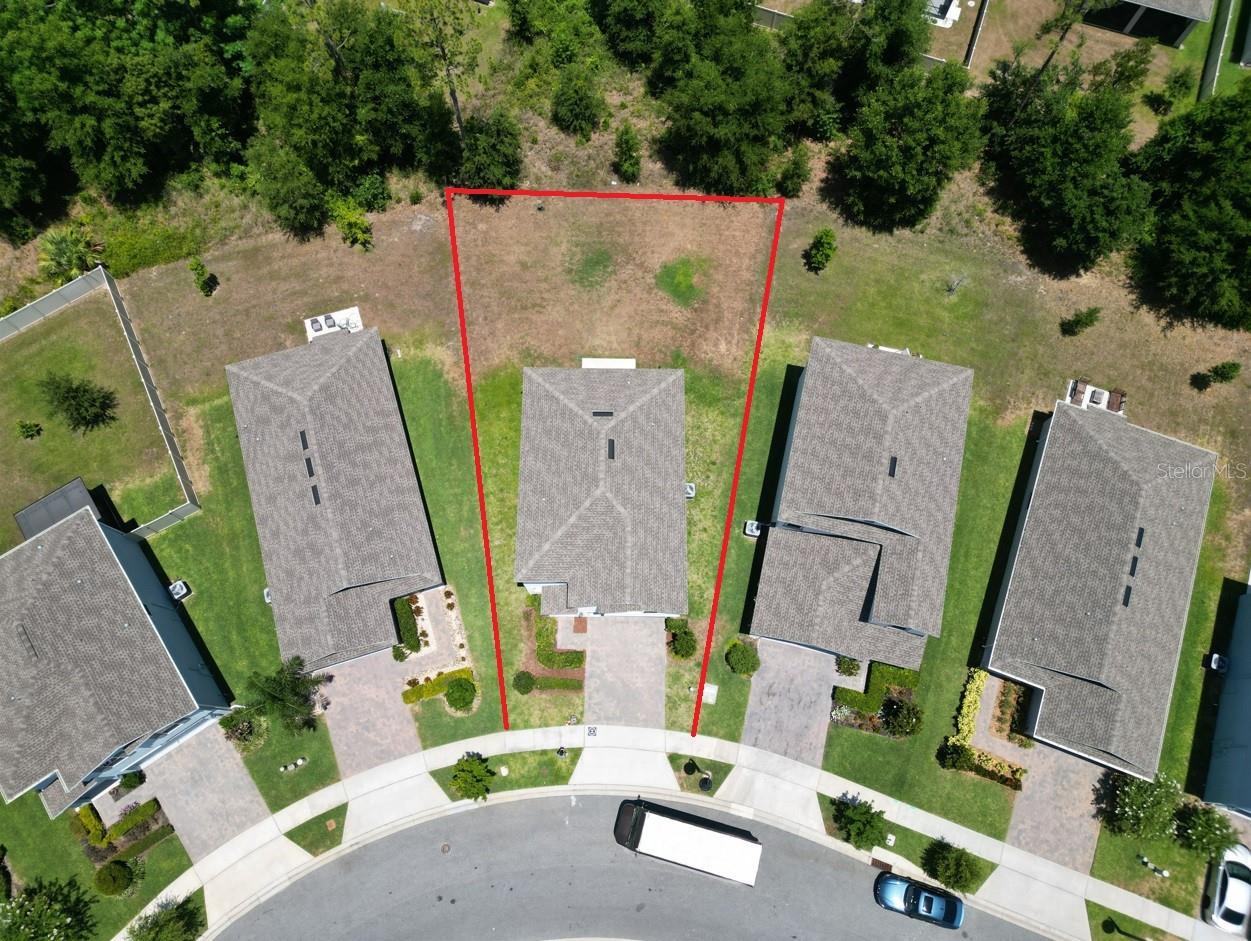 2905 BLACK BIRCH DR, OCOEE, FL, 34761