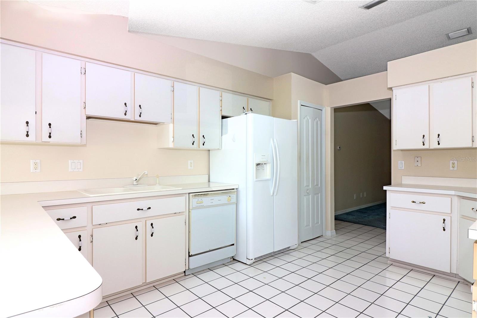 21502 KING HENRY AVE, LEESBURG, FL, 34748