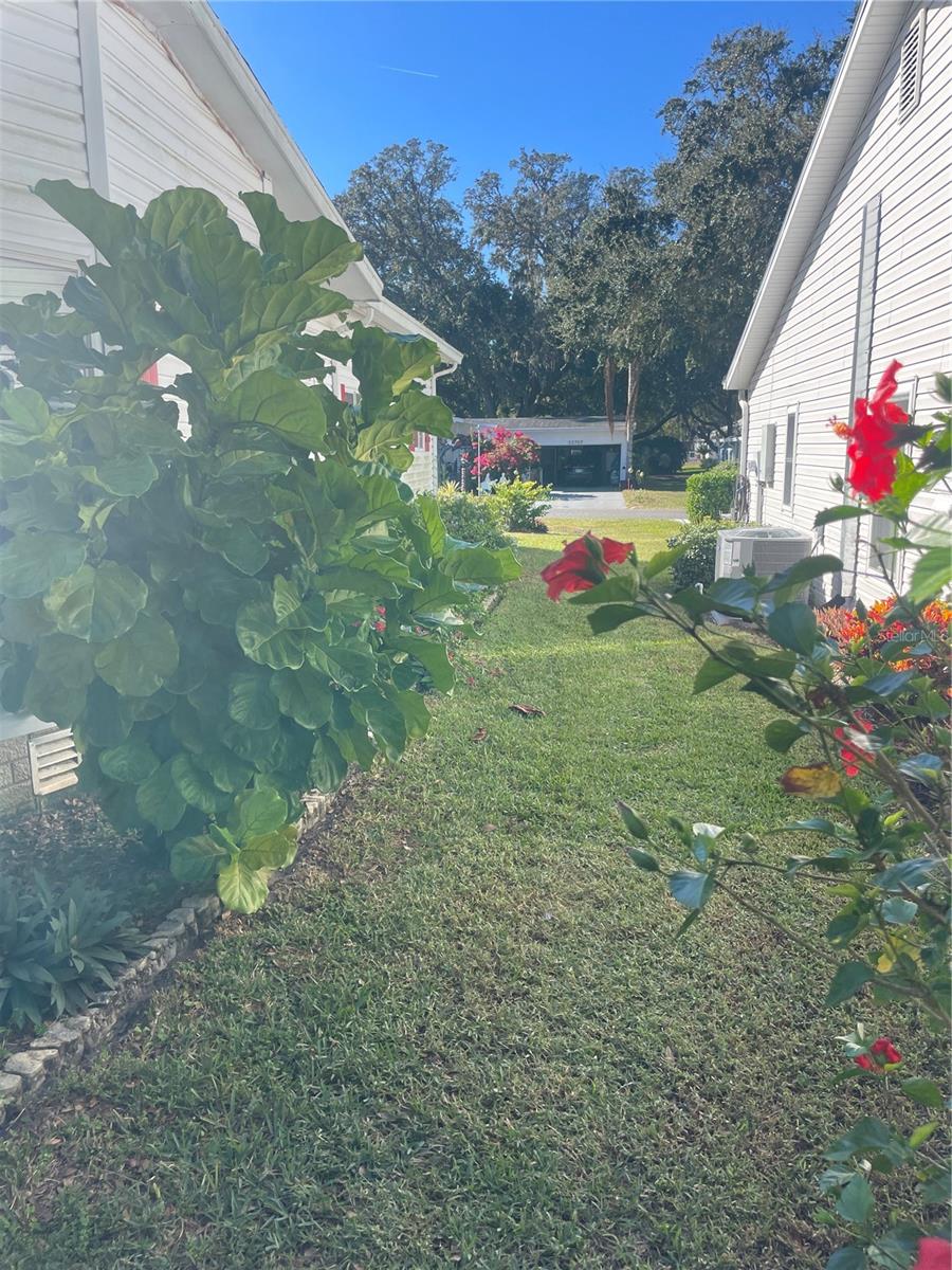 25704 OAK ALY, LEESBURG, FL, 34748