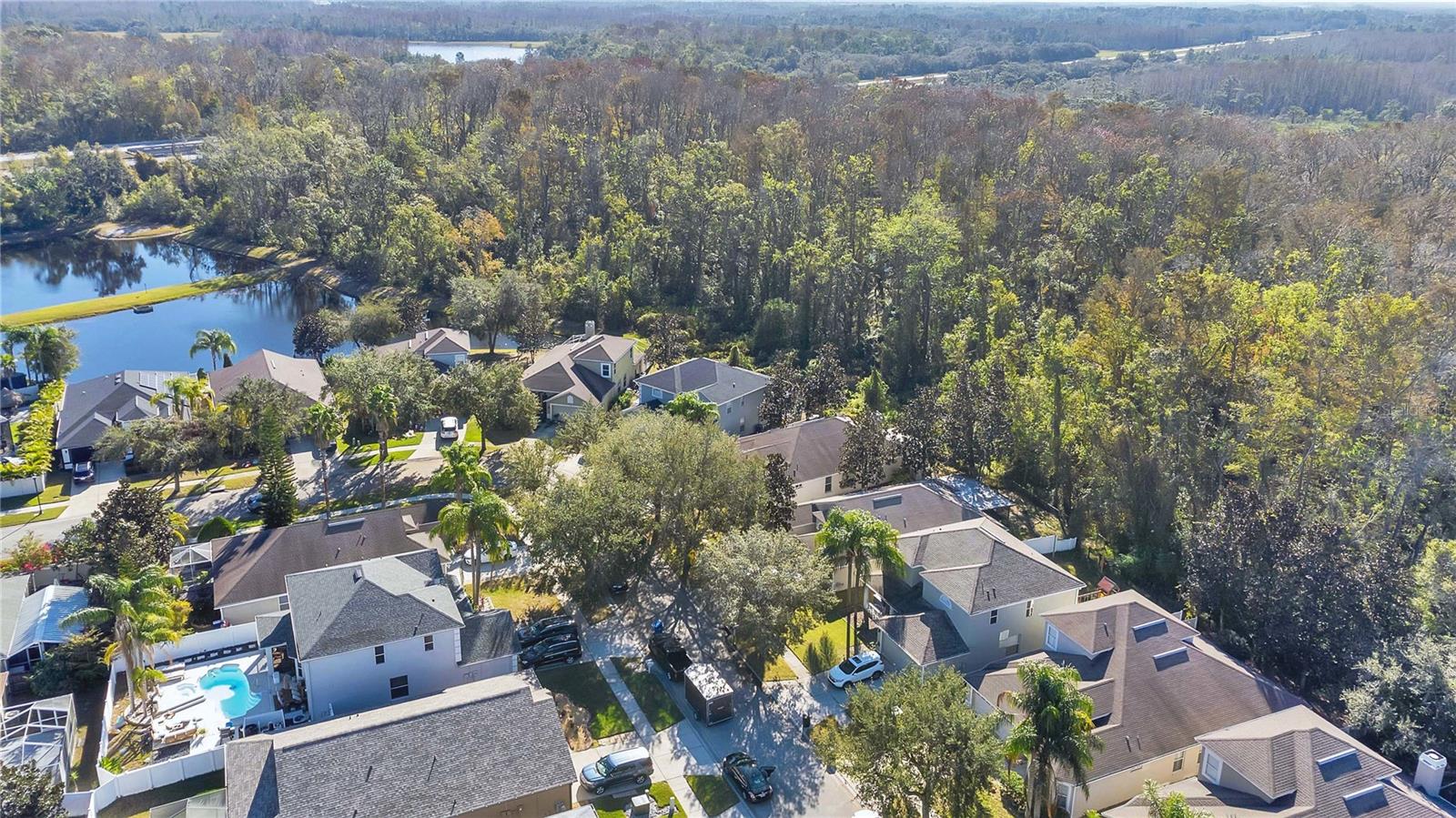 15838 CEDAR ELM TER, LAND O LAKES, FL, 34638