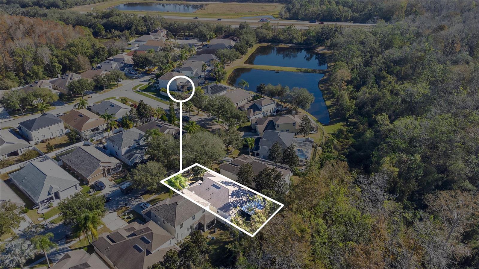 15838 CEDAR ELM TER, LAND O LAKES, FL, 34638