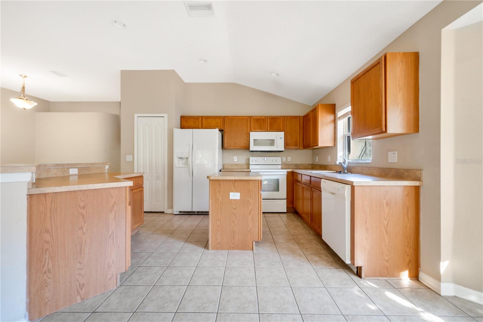 15838 CEDAR ELM TER, LAND O LAKES, FL, 34638