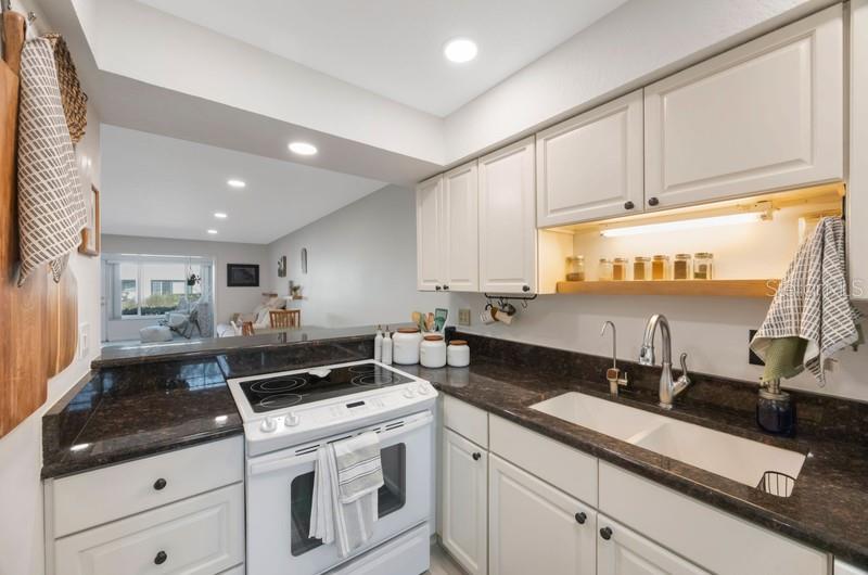 1753 BELLEAIR FOREST DR #E2, BELLEAIR, FL, 33756