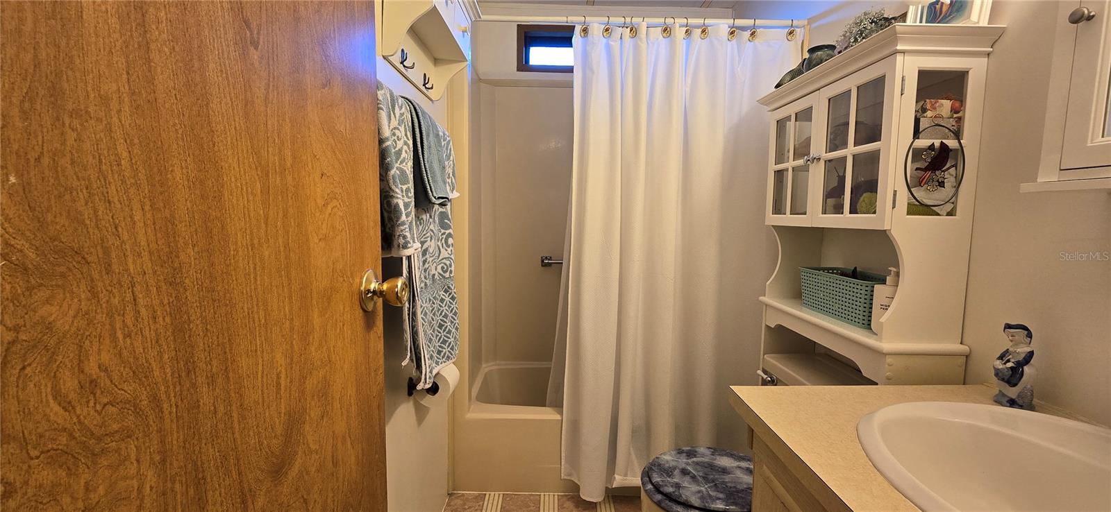 816 E LIVE OAK ST, WILDWOOD, FL, 34785