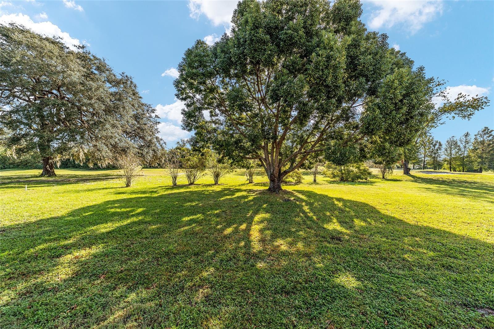 1409 MEADOW VIEW WAY, LADY LAKE, FL, 32159