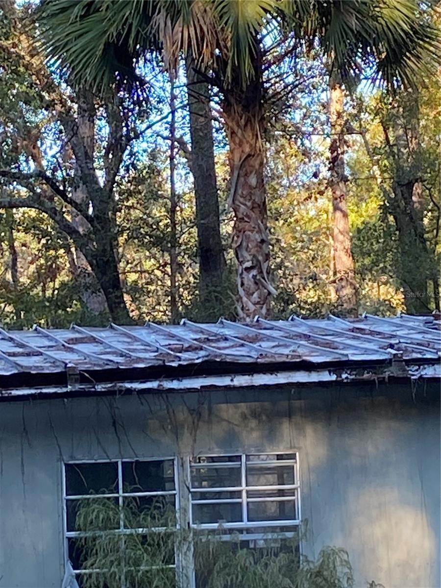 18781 NW 149TH AVE, WILLISTON, FL, 32696