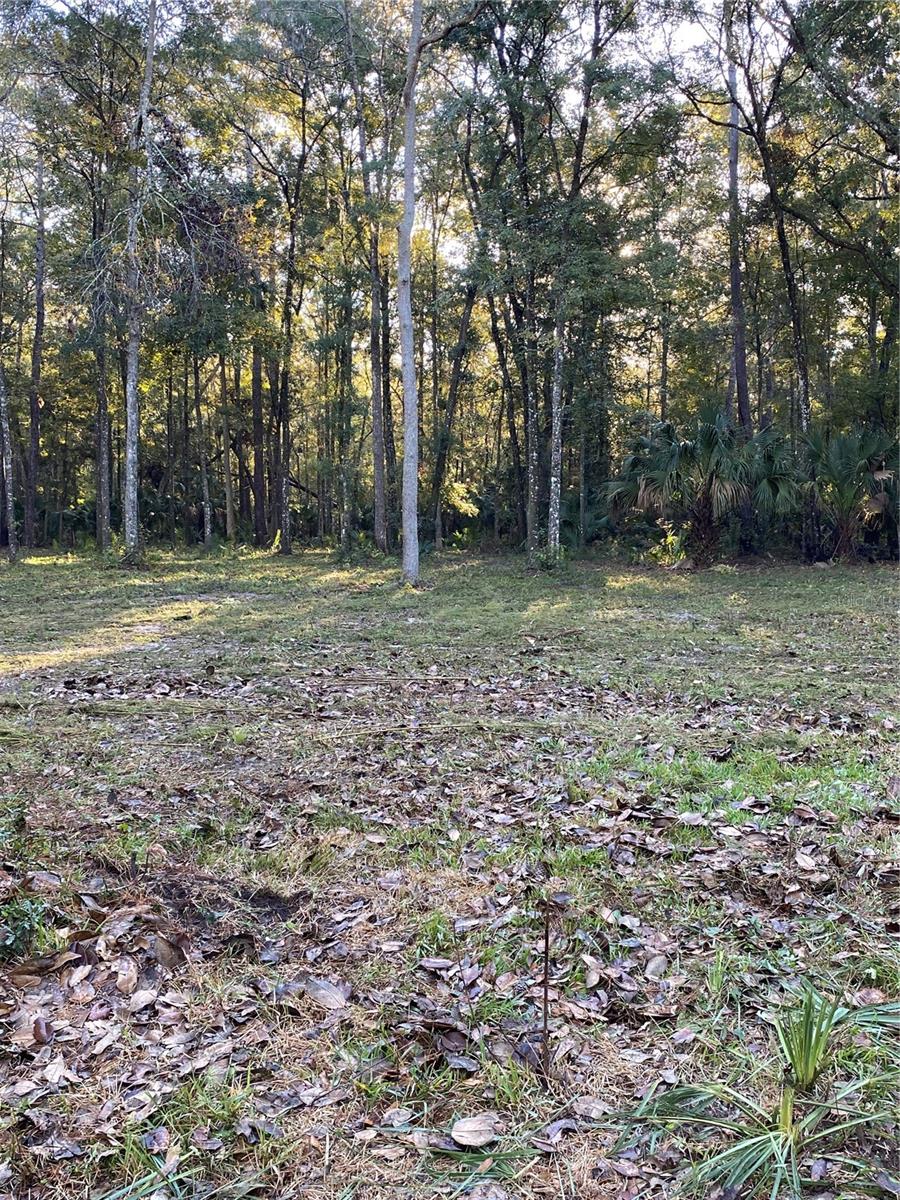 18781 NW 149TH AVE, WILLISTON, FL, 32696