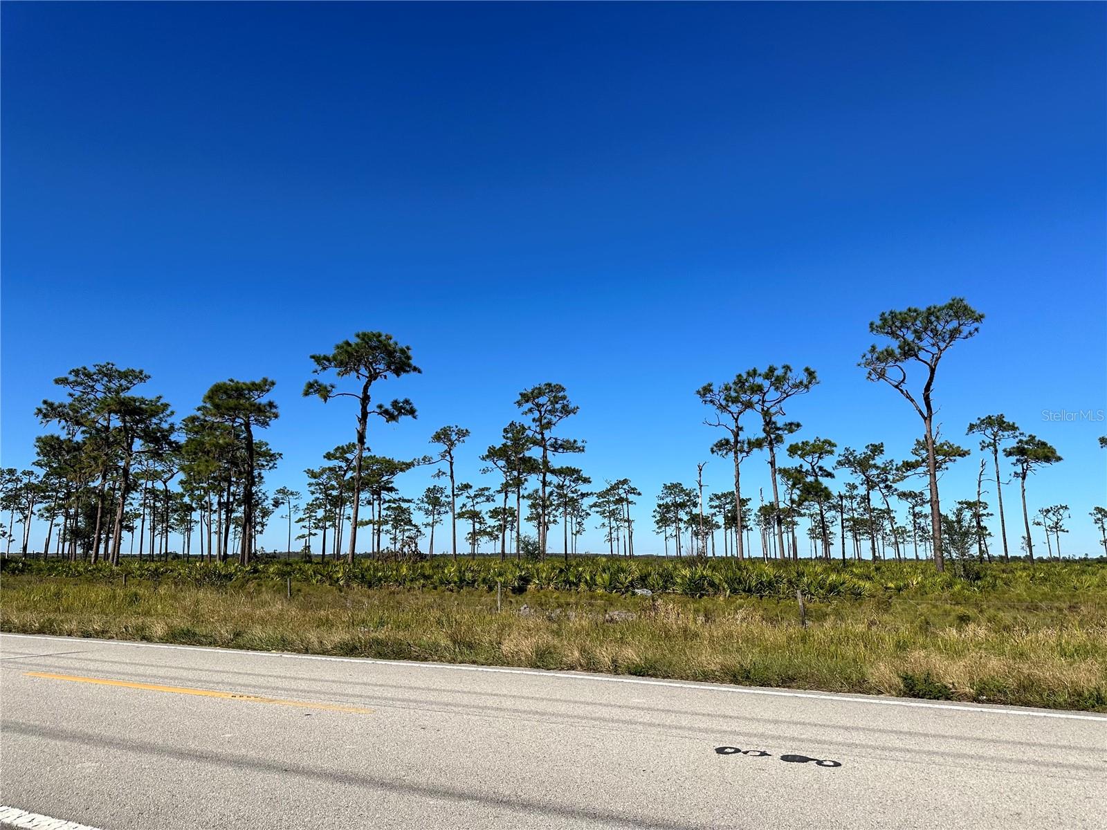 E COUNTY LINE RD, FORT MEADE, FL, 33841