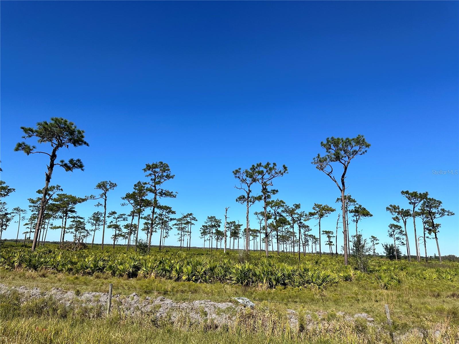 E COUNTY LINE RD, FORT MEADE, FL, 33841