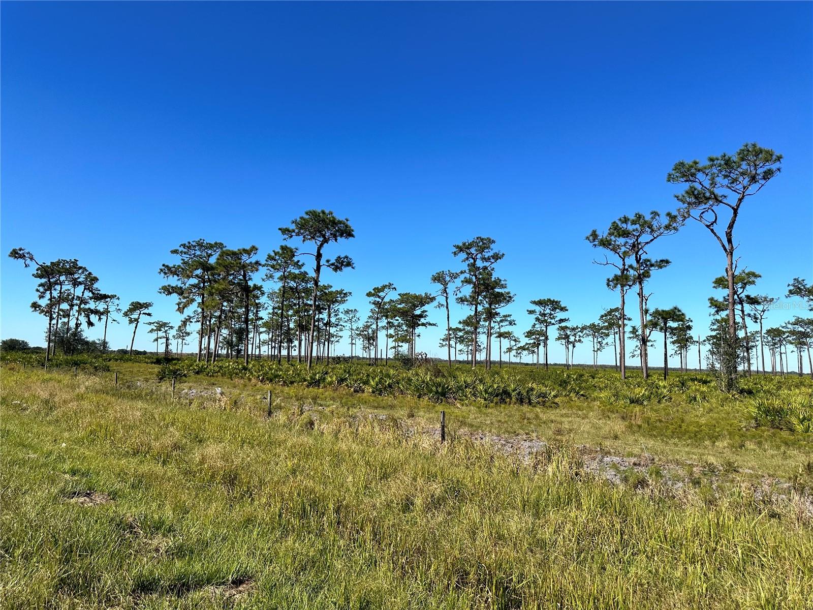 E COUNTY LINE RD, FORT MEADE, FL, 33841