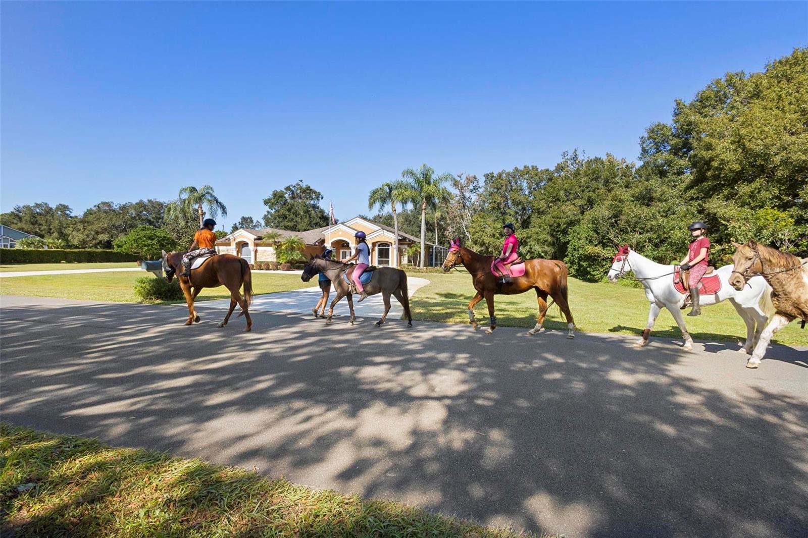 100 MICHAEL DR, OVIEDO, FL, 32765
