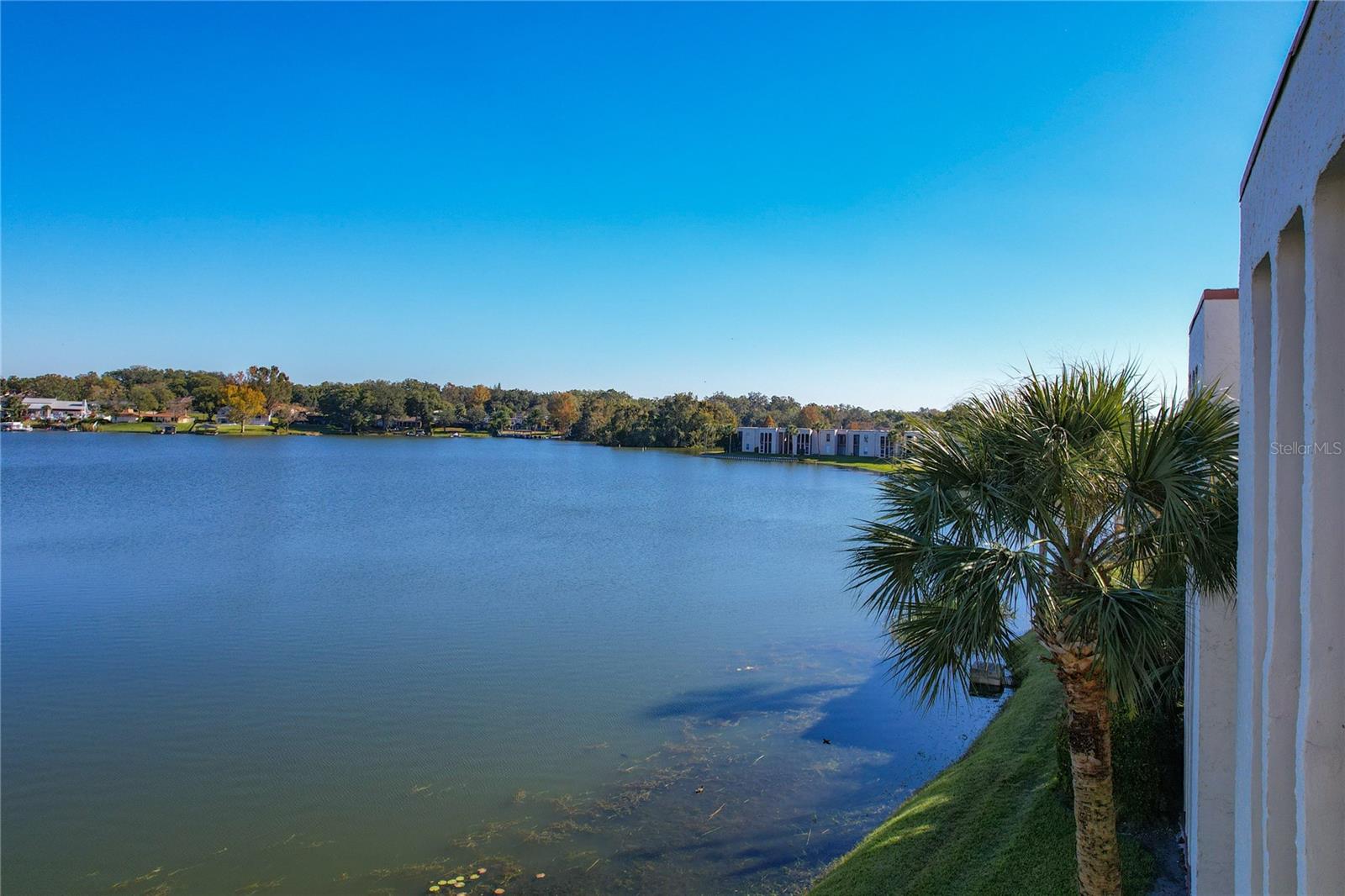 524 ORANGE DR #31, ALTAMONTE SPRINGS, FL, 32701