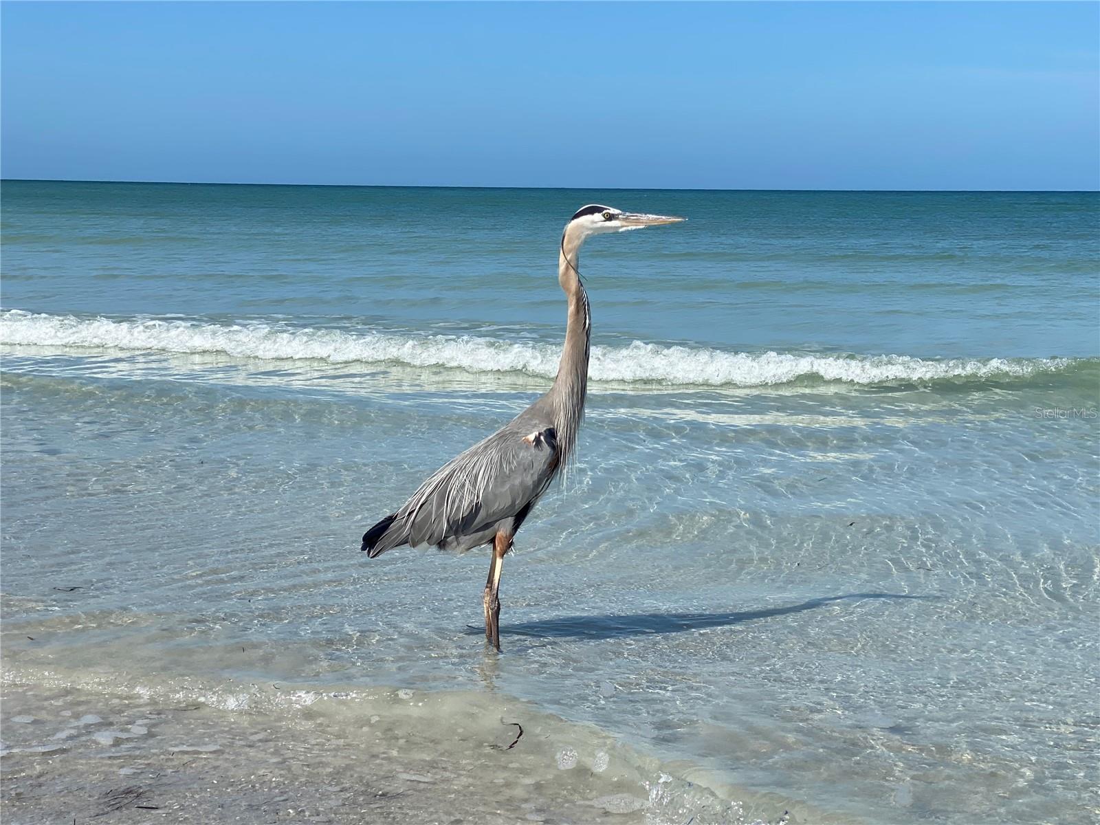 3448 100TH TER N, PINELLAS PARK, FL, 33782