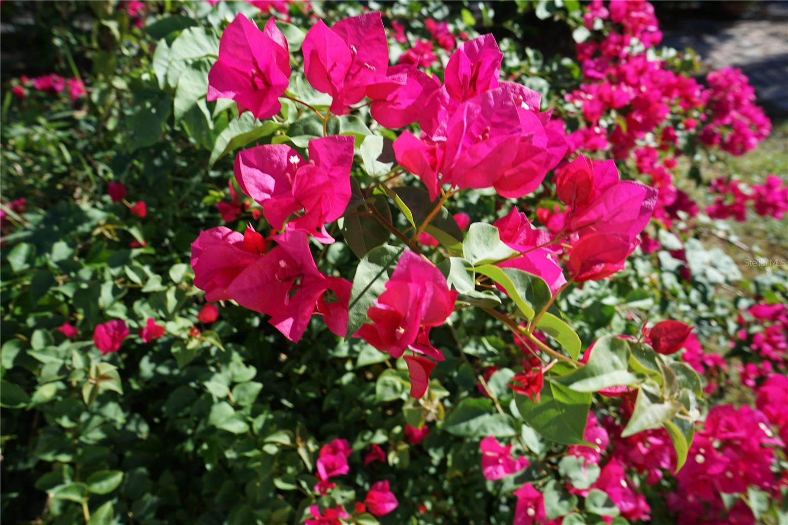 1727 COCO PALM CIR, SUN CITY CENTER, FL, 33573