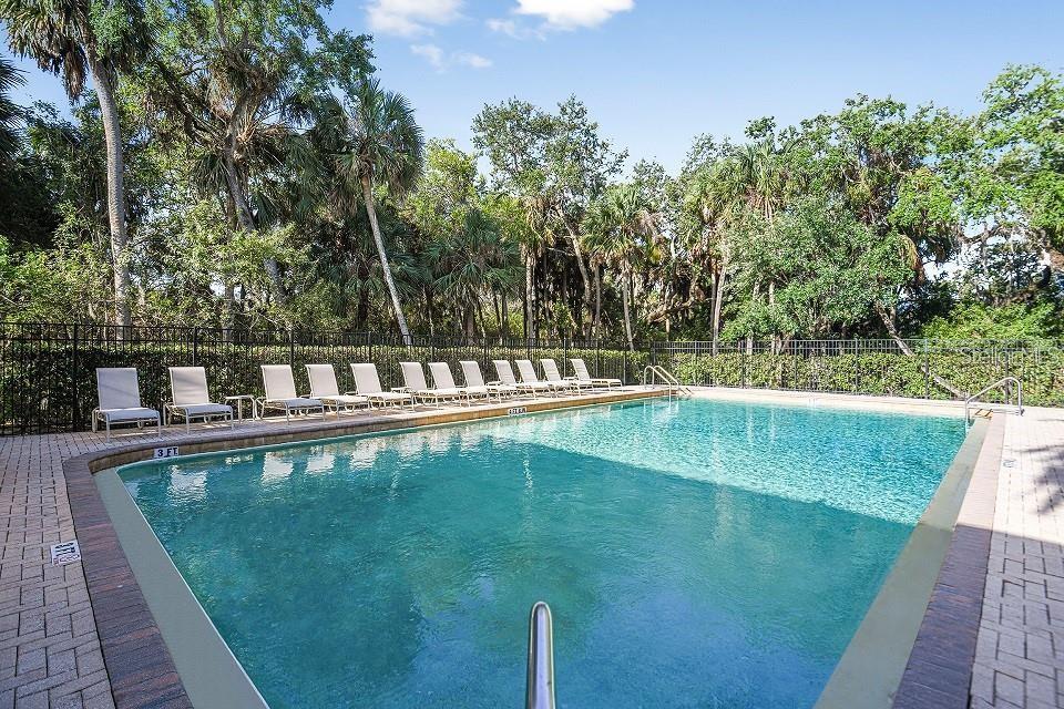 4405 TUSCAN LOON DR, TAMPA, FL, 33619